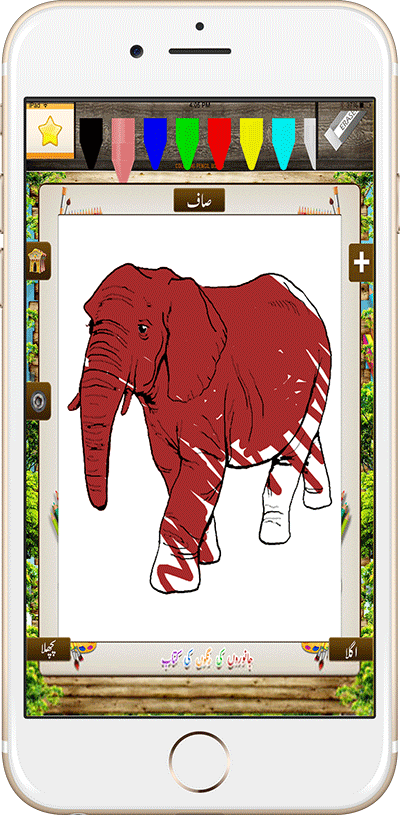 animals coloring book fill