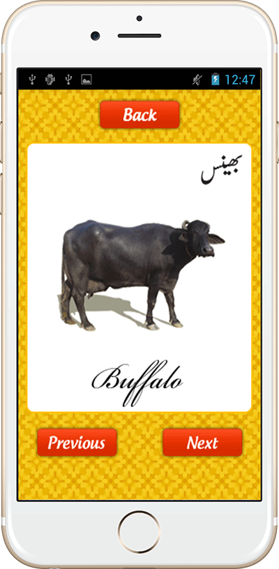 urdu animal names